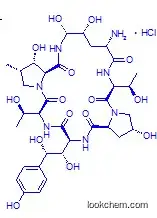 Molecular Structure of 1029890-89-8 (1-[(4R,5R)-4,5-Dihydroxy-L-ornithine]echinocandin B hydrochloride (1:1))
